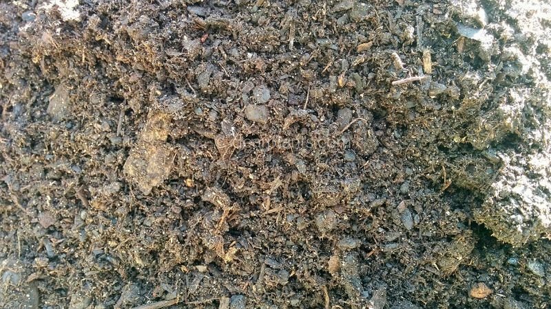 commercial universal potting soil