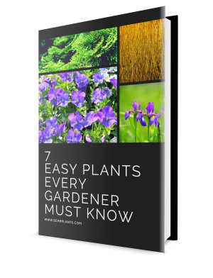 Free ebook download: 7 Easy PlantsEvery Gardener Must Know
