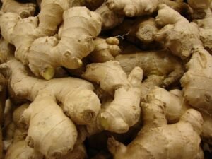 How to plant ginger (Zingiber officinale)