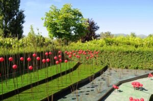 Garden styles - Concept gardens - dearplants.com
