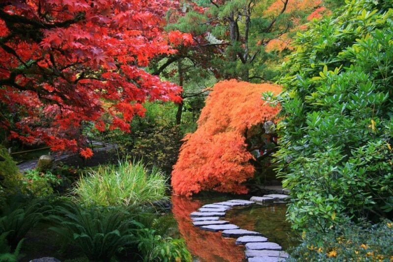 Garden styles - Japanese gardens - dearplants.com