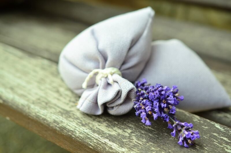 How to plant Lavandula angustifolia (Lavender) - Lavender sachets for drawers and wardrobes