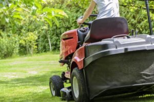 Garden tasks to do in May - dearplants.com
