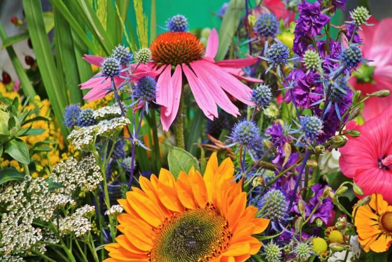 How to create a low maintenance garden - ideas - dearplants.com