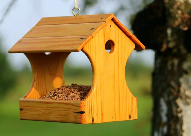 Gift ideas for gardeners, a list of great presents - birds feeder - www.dearplants.com