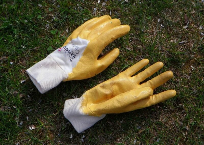 Gift ideas for gardeners, a list of great presents - pair of gloves - www.dearplants.com