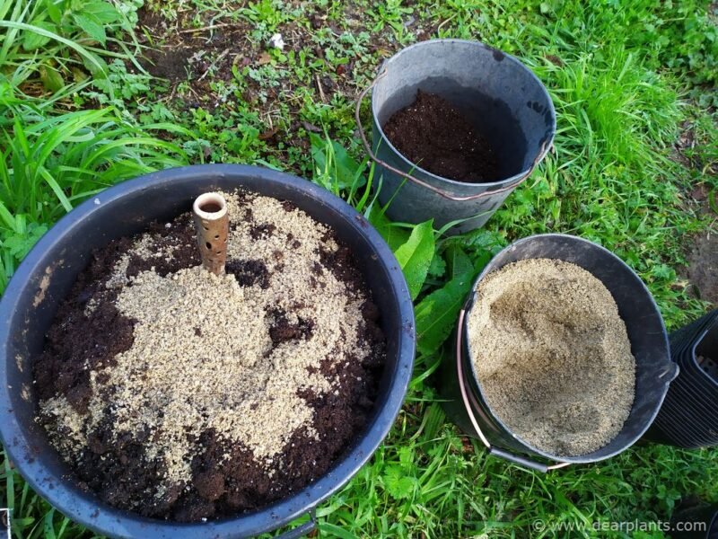 How to start Dahlias early in pots - mixing compost - www.dearplants.com