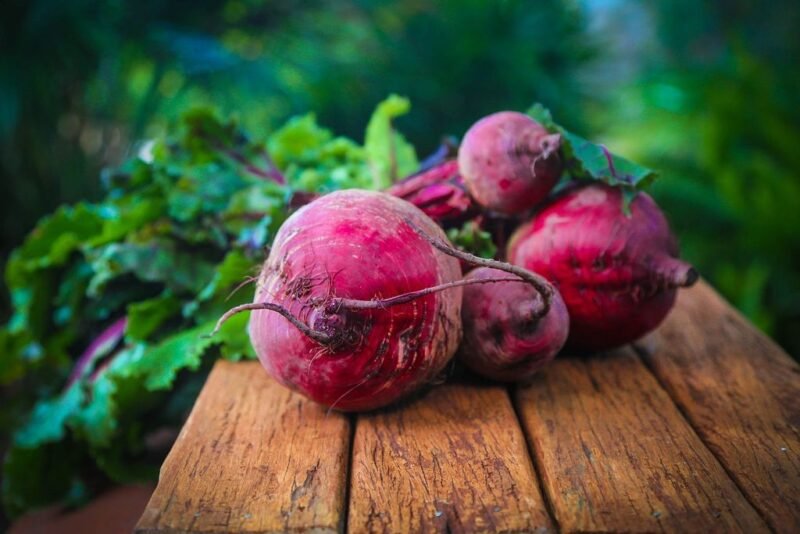 How to plant beetroot (Beta vulgaris) - www.dearplants.com