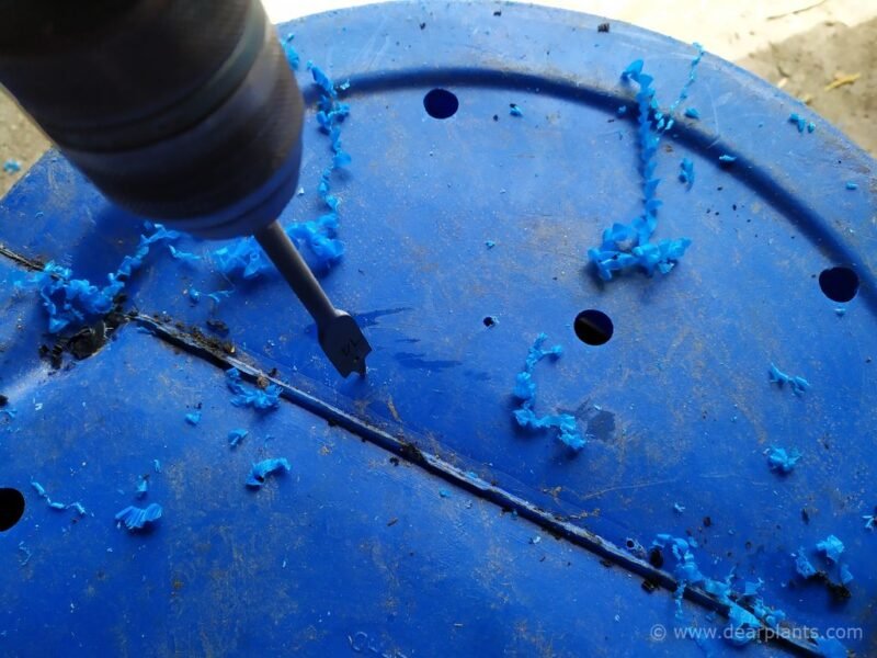 How to cut blue plastic barrels to make raised beds or planters - Drill drainage holes - www.dearplants.com
