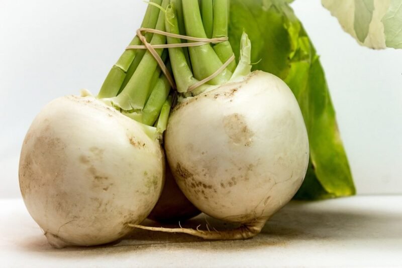 How to plant and grow turnips (Brassica rapa) - www.dearplants.com