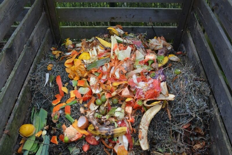 How to make compost step by step