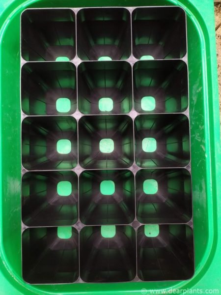 Planting tray