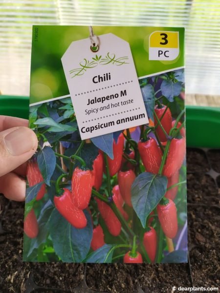 Jalapeno pepper seeds packet - www.dearplants.com